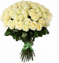 Розы Россия белые Розы Россия белые