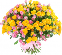 Кустовые розы Микс № 2